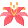 华体会hth logo